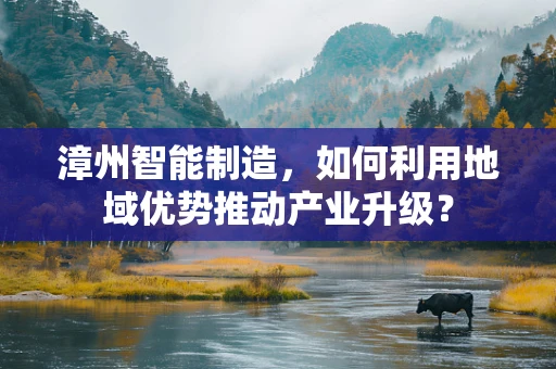 漳州智能制造，如何利用地域优势推动产业升级？