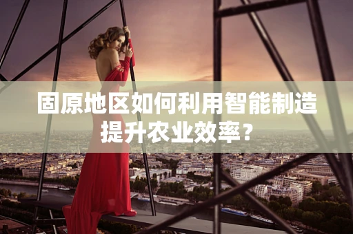 固原地区如何利用智能制造提升农业效率？
