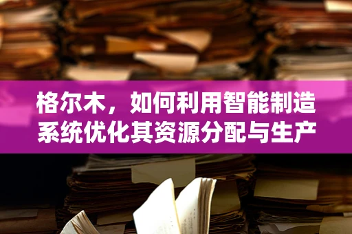 格尔木，如何利用智能制造系统优化其资源分配与生产效率？