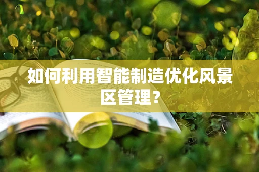 如何利用智能制造优化风景区管理？