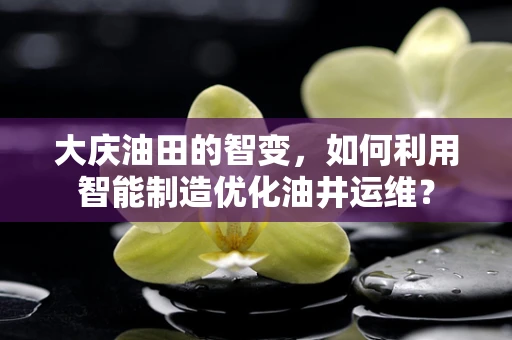 大庆油田的智变，如何利用智能制造优化油井运维？