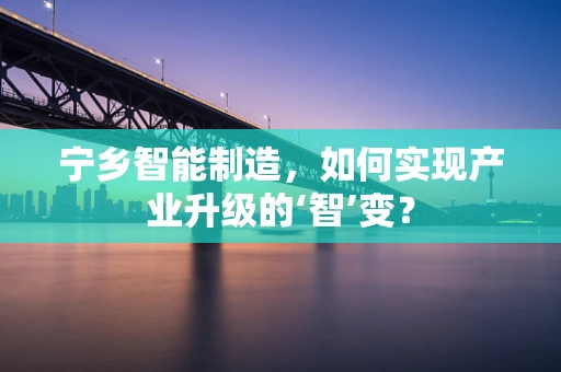 宁乡智能制造，如何实现产业升级的‘智’变？