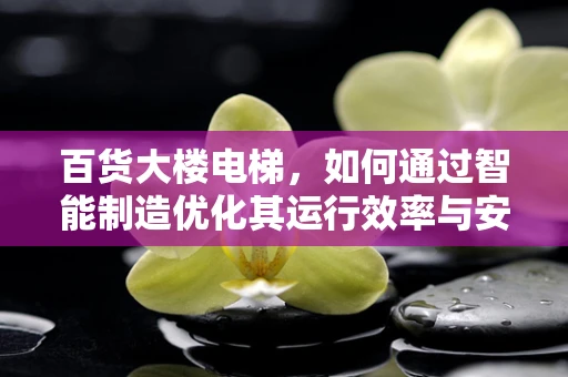 百货大楼电梯，如何通过智能制造优化其运行效率与安全性？