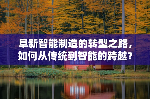 阜新智能制造的转型之路，如何从传统到智能的跨越？