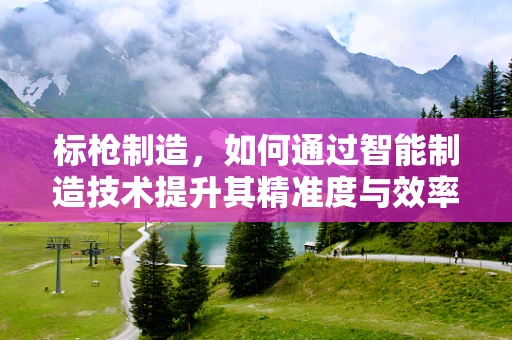 标枪制造，如何通过智能制造技术提升其精准度与效率？
