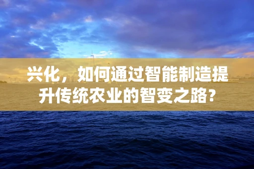 兴化，如何通过智能制造提升传统农业的智变之路？