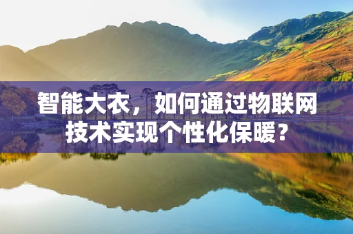 智能大衣，如何通过物联网技术实现个性化保暖？