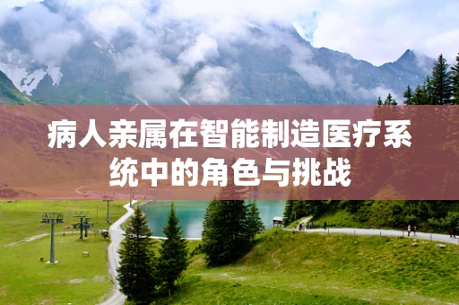 病人亲属在智能制造医疗系统中的角色与挑战
