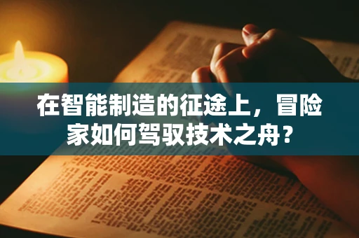 在智能制造的征途上，冒险家如何驾驭技术之舟？