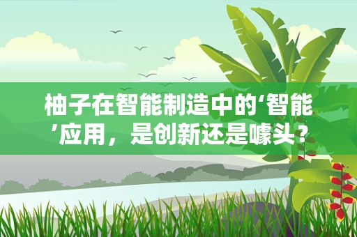柚子在智能制造中的‘智能’应用，是创新还是噱头？