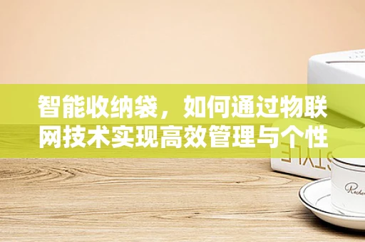 智能收纳袋，如何通过物联网技术实现高效管理与个性化服务？