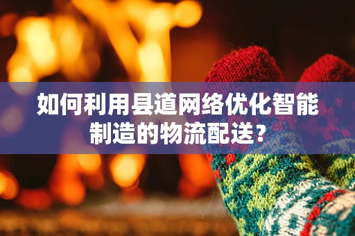 如何利用县道网络优化智能制造的物流配送？