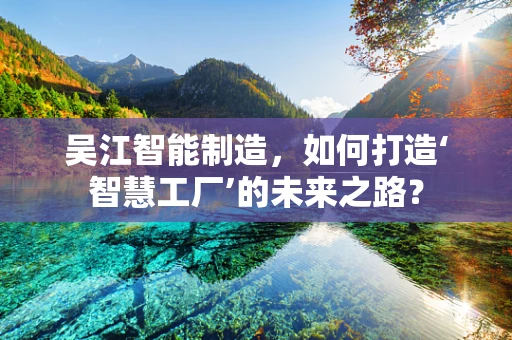 吴江智能制造，如何打造‘智慧工厂’的未来之路？