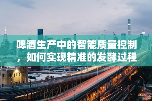 啤酒生产中的智能质量控制，如何实现精准的发酵过程管理？