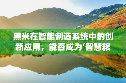 黑米在智能制造系统中的创新应用，能否成为‘智慧粮仓’的秘密武器？
