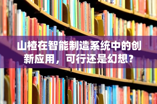 山楂在智能制造系统中的创新应用，可行还是幻想？