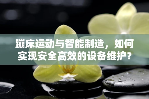 蹦床运动与智能制造，如何实现安全高效的设备维护？