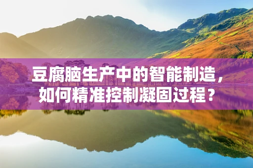 豆腐脑生产中的智能制造，如何精准控制凝固过程？
