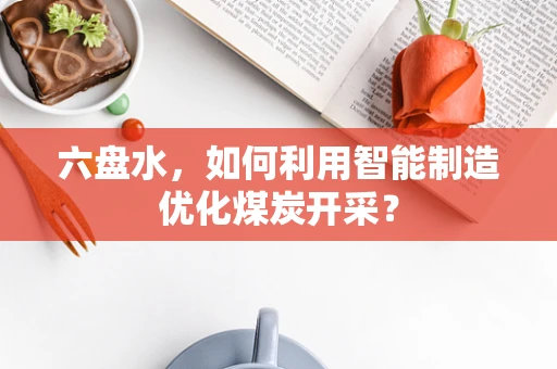 六盘水，如何利用智能制造优化煤炭开采？