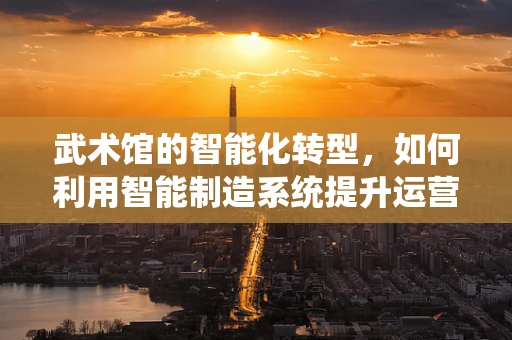 武术馆的智能化转型，如何利用智能制造系统提升运营效率？