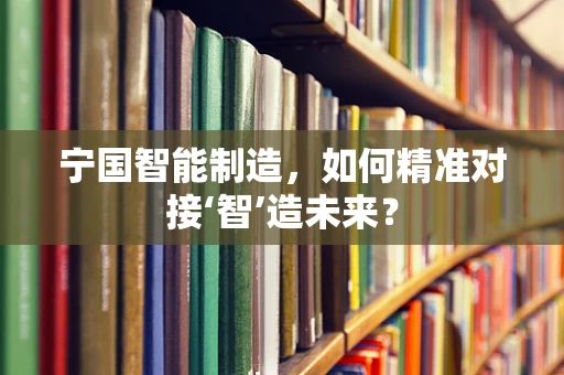 宁国智能制造，如何精准对接‘智’造未来？