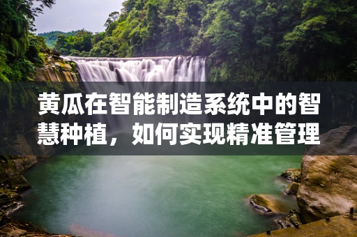 黄瓜在智能制造系统中的智慧种植，如何实现精准管理？
