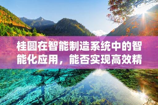 桂圆在智能制造系统中的智能化应用，能否实现高效精准的加工与包装？