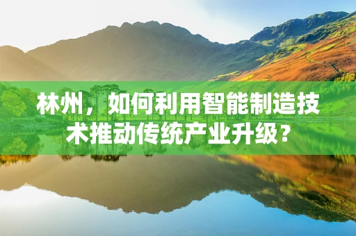 林州，如何利用智能制造技术推动传统产业升级？