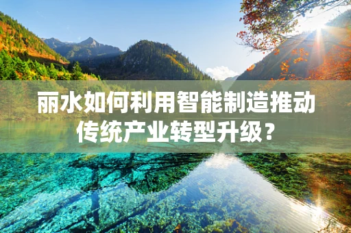 丽水如何利用智能制造推动传统产业转型升级？