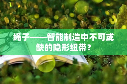 绳子——智能制造中不可或缺的隐形纽带？