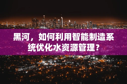 黑河，如何利用智能制造系统优化水资源管理？