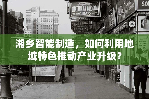 湘乡智能制造，如何利用地域特色推动产业升级？