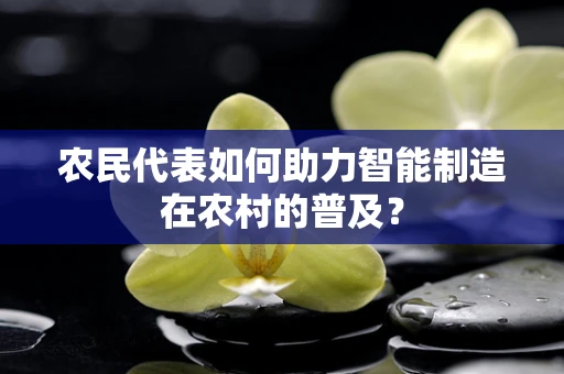 农民代表如何助力智能制造在农村的普及？