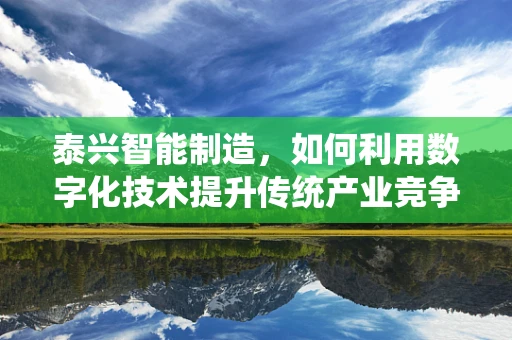 泰兴智能制造，如何利用数字化技术提升传统产业竞争力？