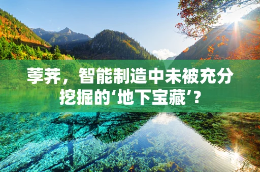 荸荠，智能制造中未被充分挖掘的‘地下宝藏’？