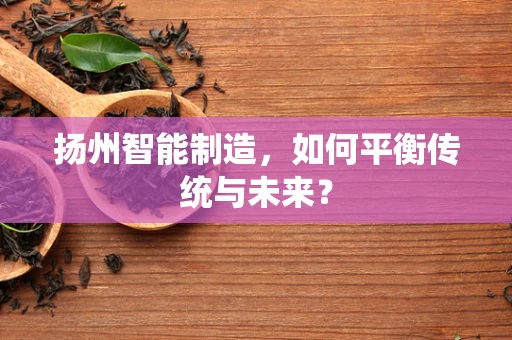 扬州智能制造，如何平衡传统与未来？
