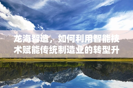 龙海智造，如何利用智能技术赋能传统制造业的转型升级？