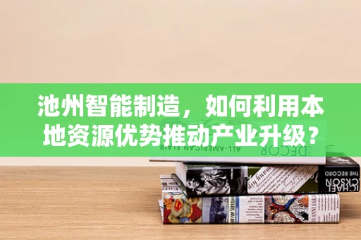 池州智能制造，如何利用本地资源优势推动产业升级？