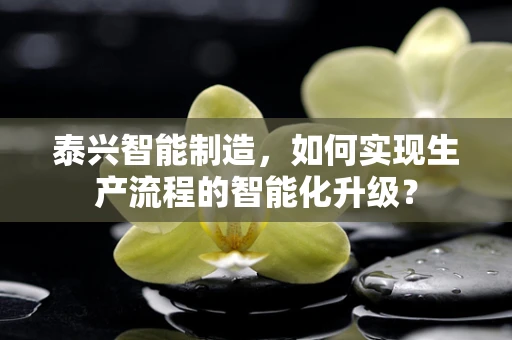 泰兴智能制造，如何实现生产流程的智能化升级？