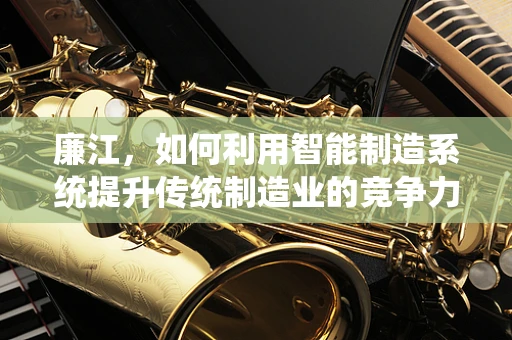 廉江，如何利用智能制造系统提升传统制造业的竞争力？