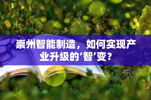 崇州智能制造，如何实现产业升级的‘智’变？
