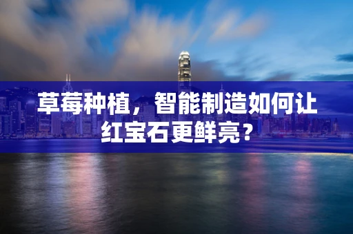 草莓种植，智能制造如何让红宝石更鲜亮？