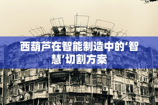 西葫芦在智能制造中的‘智慧’切割方案