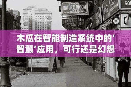 木瓜在智能制造系统中的‘智慧’应用，可行还是幻想？