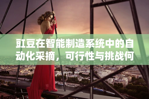 豇豆在智能制造系统中的自动化采摘，可行性与挑战何在？