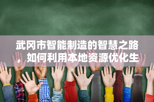 武冈市智能制造的智慧之路，如何利用本地资源优化生产流程？