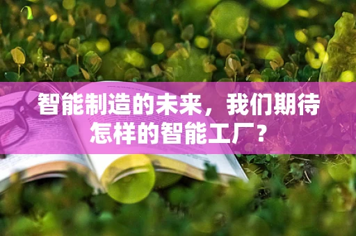 智能制造的未来，我们期待怎样的智能工厂？