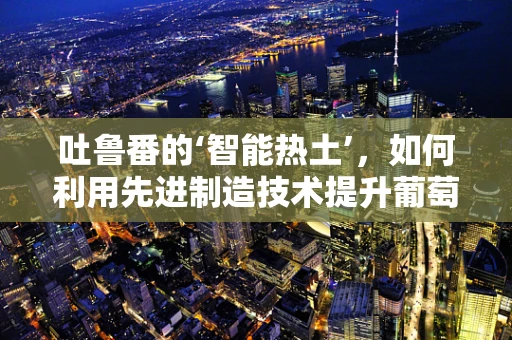 吐鲁番的‘智能热土’，如何利用先进制造技术提升葡萄种植效率？