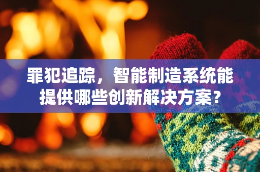罪犯追踪，智能制造系统能提供哪些创新解决方案？