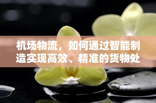 机场物流，如何通过智能制造实现高效、精准的货物处理？